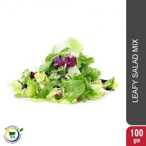 Lettuce Salad Mix - 100gm Box