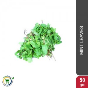 Mint Leaves [Pudina Patra] - 50gm