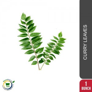 Curry Leaves [Bhrusanga Patra] - 1Bunch