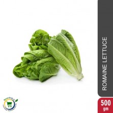 Romaine Lettuce - 500gm